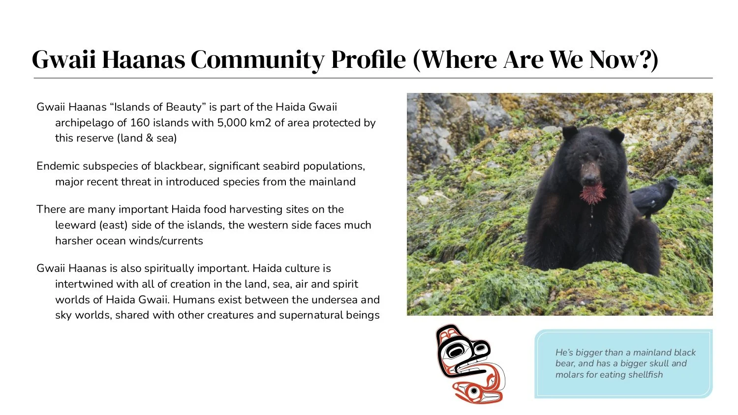 Indigenous Plan_page-0007.jpg