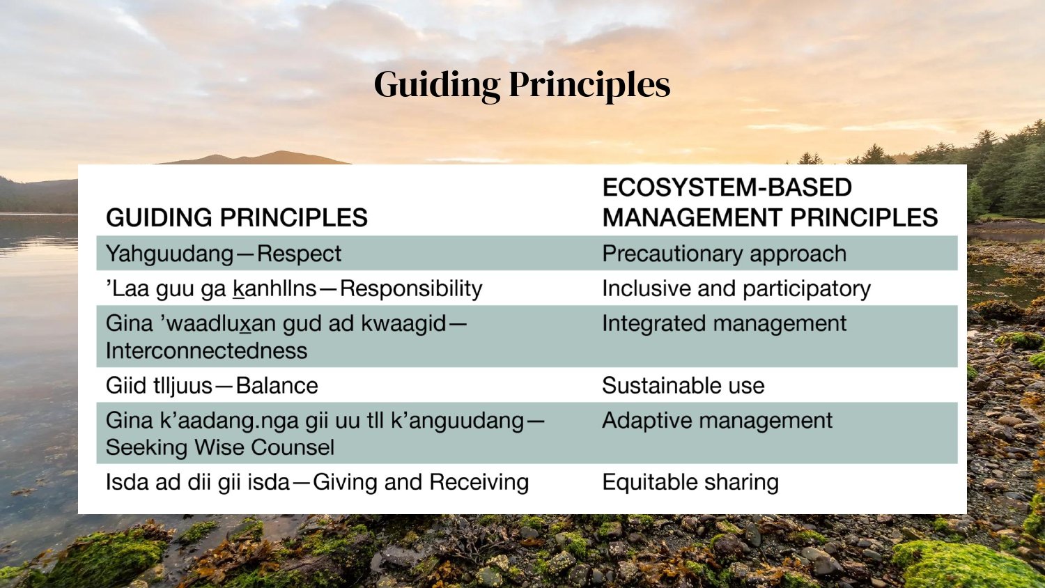 Indigenous Plan_page-0011.jpg