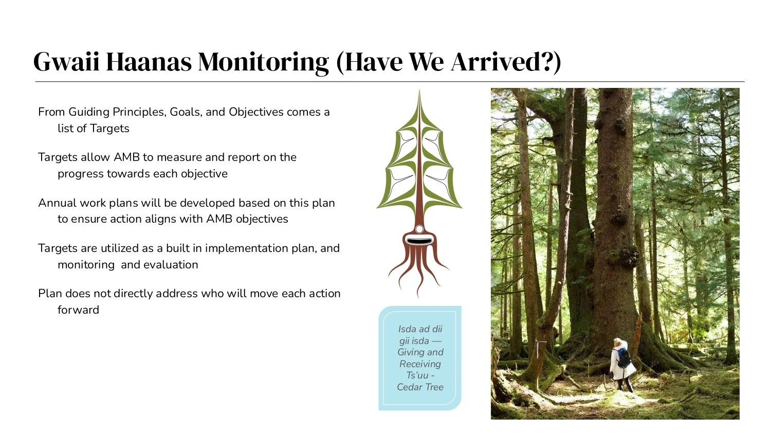 Indigenous Plan_page-0012.jpg