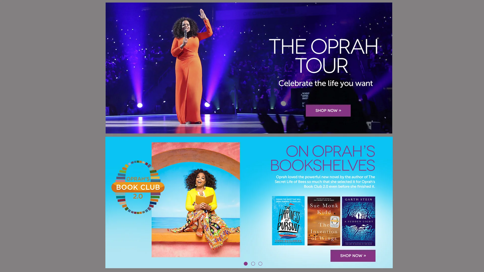 SquareSpacePortfolio_1920x1080_oprahsiteexample4.jpg