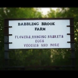 The Babbling Brook Farm.jpg