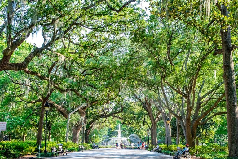 savannah+city.jpg