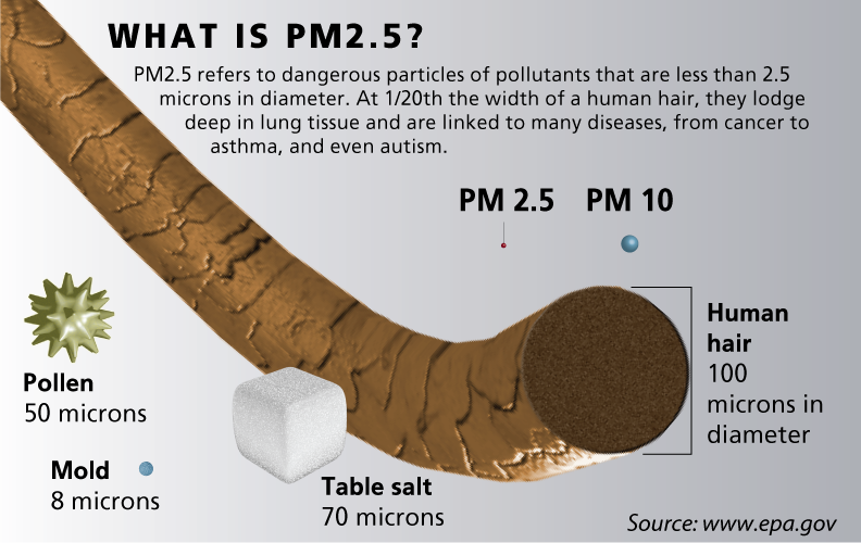 pm2.5-air-particulate-matter.png