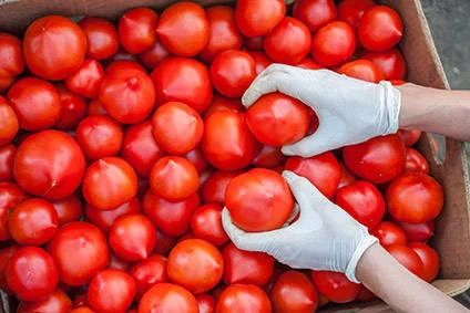 Jersey tomatoes rule supreme in KEEN Growth Capital's plans.