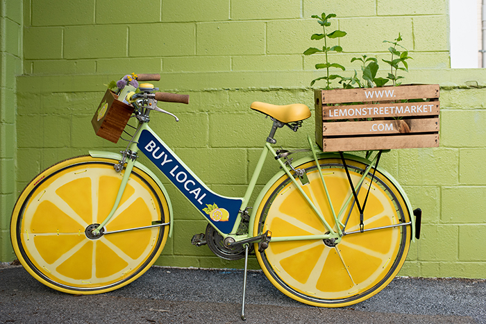 lemonstbike-4SMALL.jpg