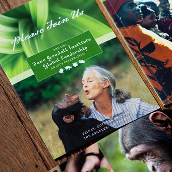 Jane Goodall Institute