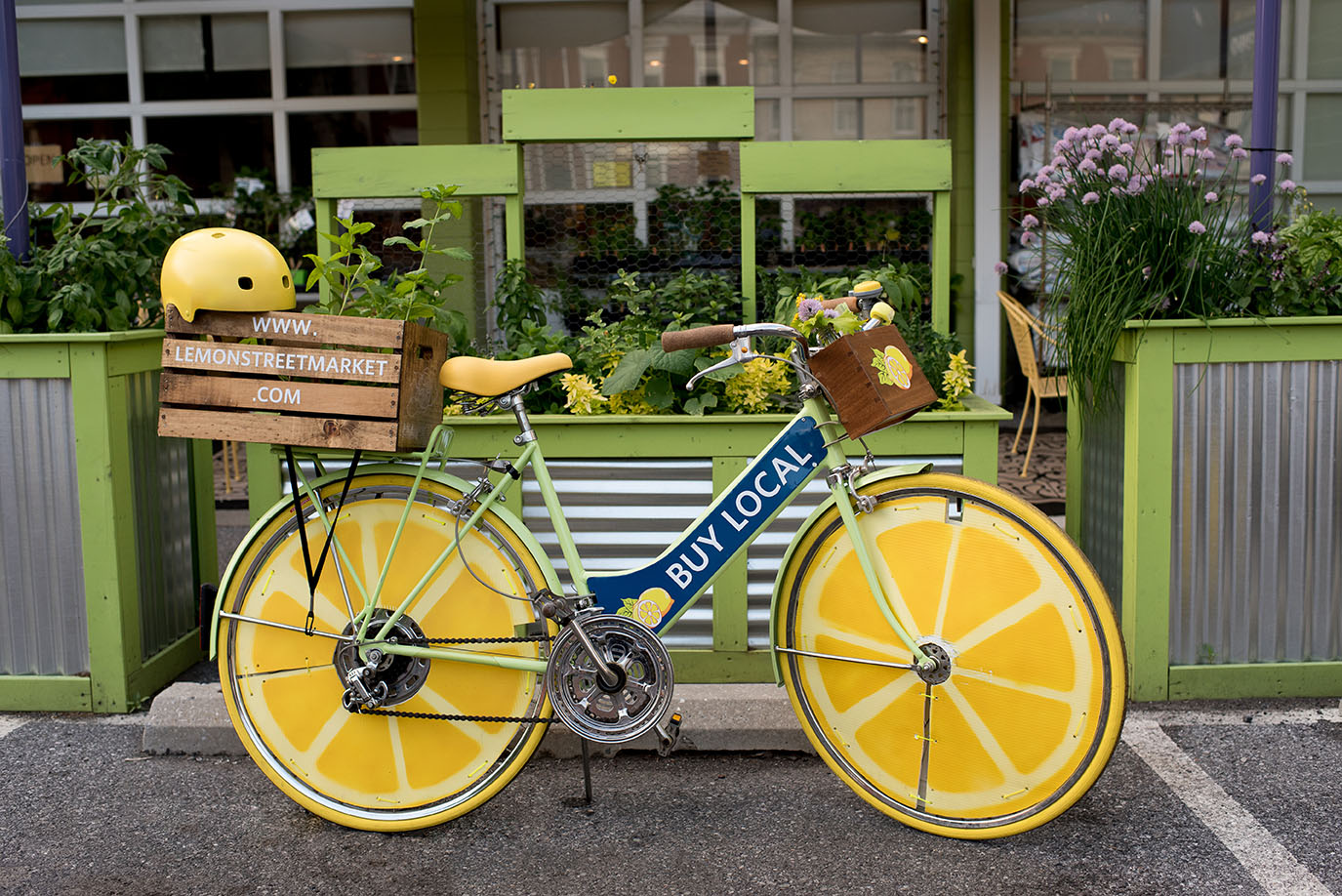 lemonstbike1.jpg