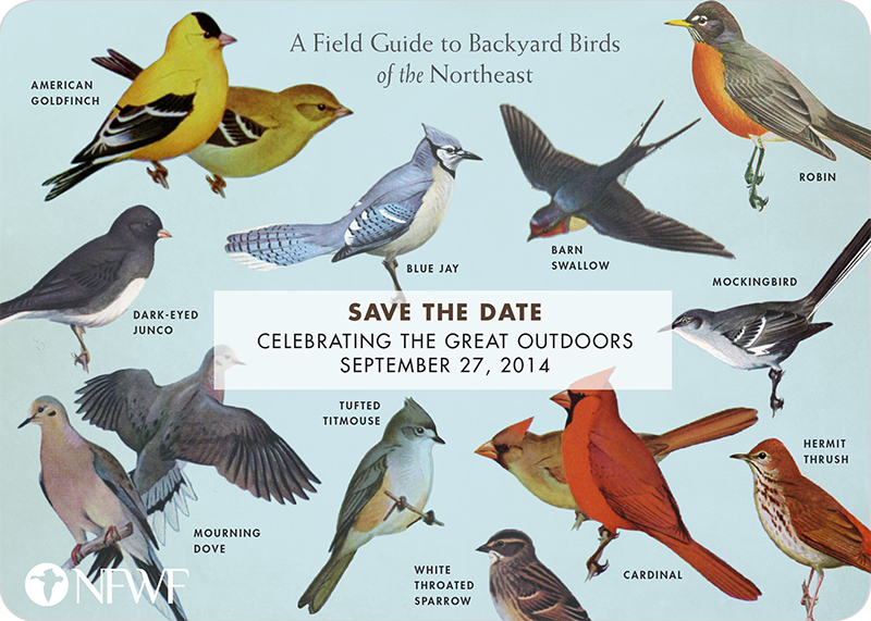 NFWF2014_SaveTheDate_r6-1.jpg