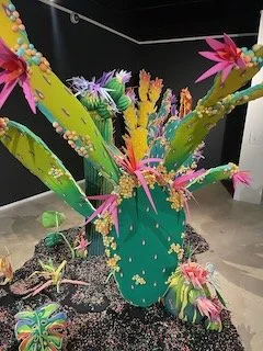 Matty Geez's Desert Oasis