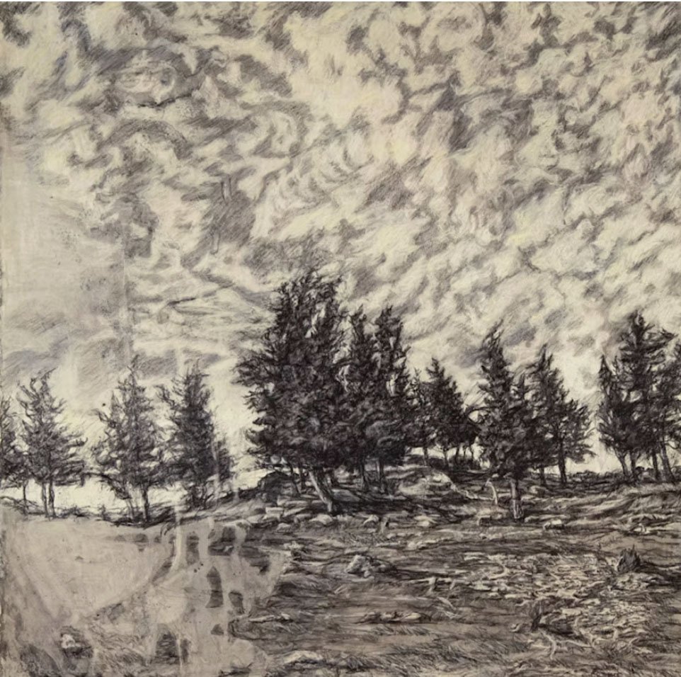 Drawing as Seeing with Scott Wright