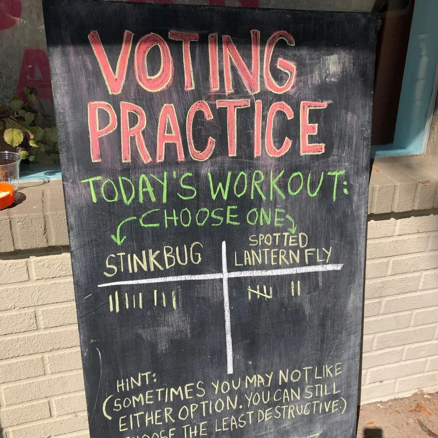 Voter Training