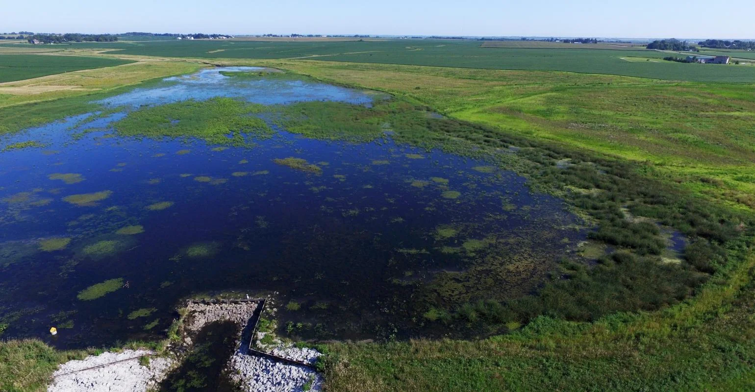 Wetlands reduce nitrates