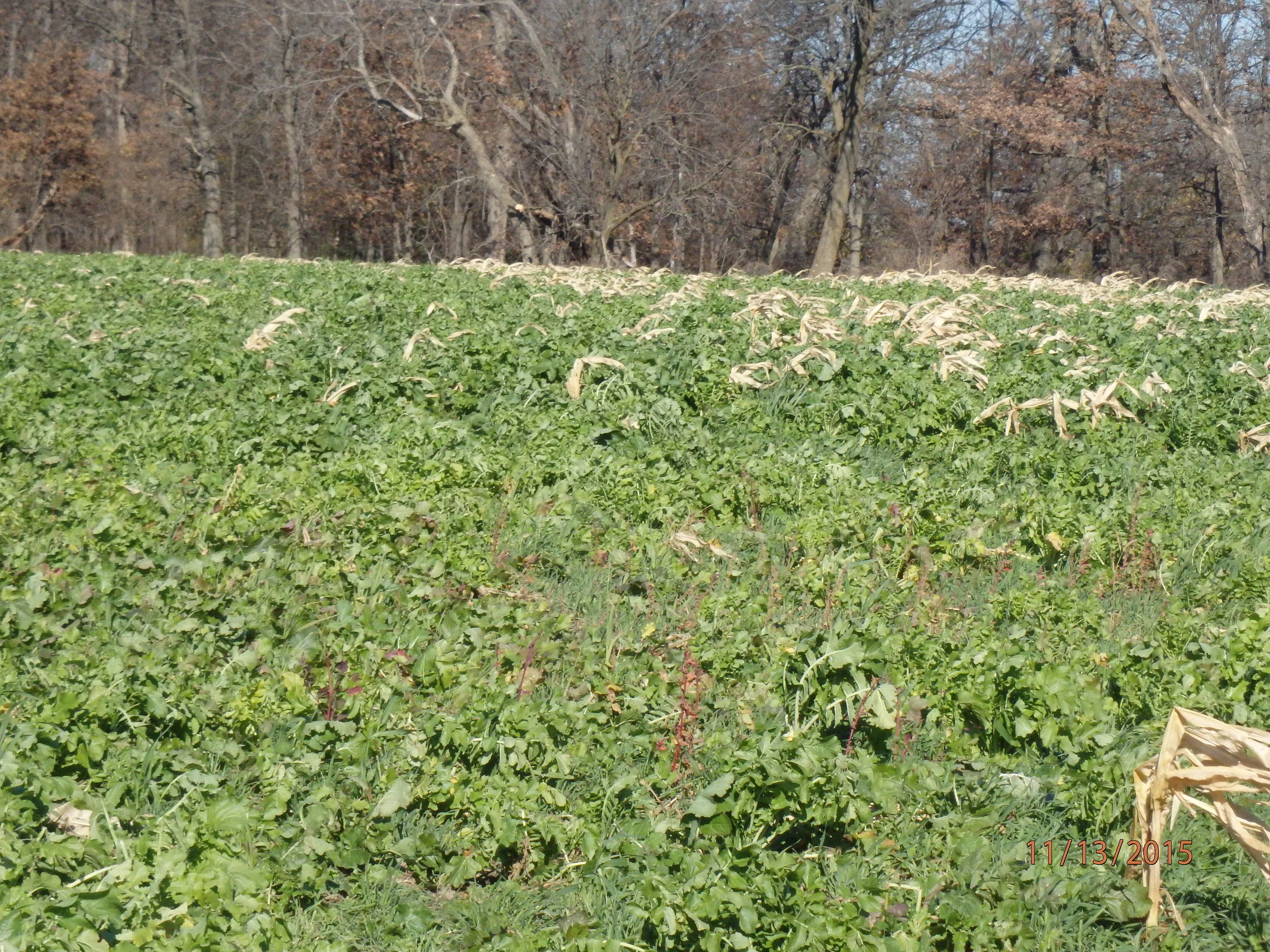 Larry and Danny Pidgeon | Salem Area