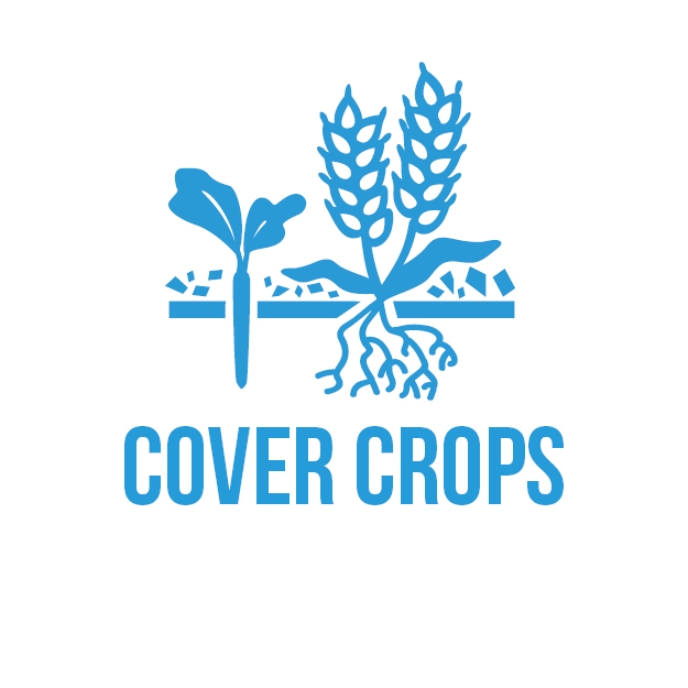 icon-covercrop-square.jpg