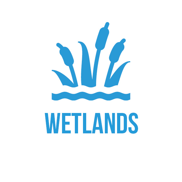 icon-wetlands-square.jpg