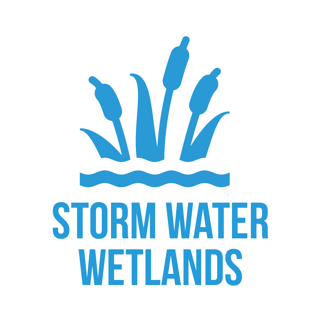 icon-stormwaterwetlands-square.jpg