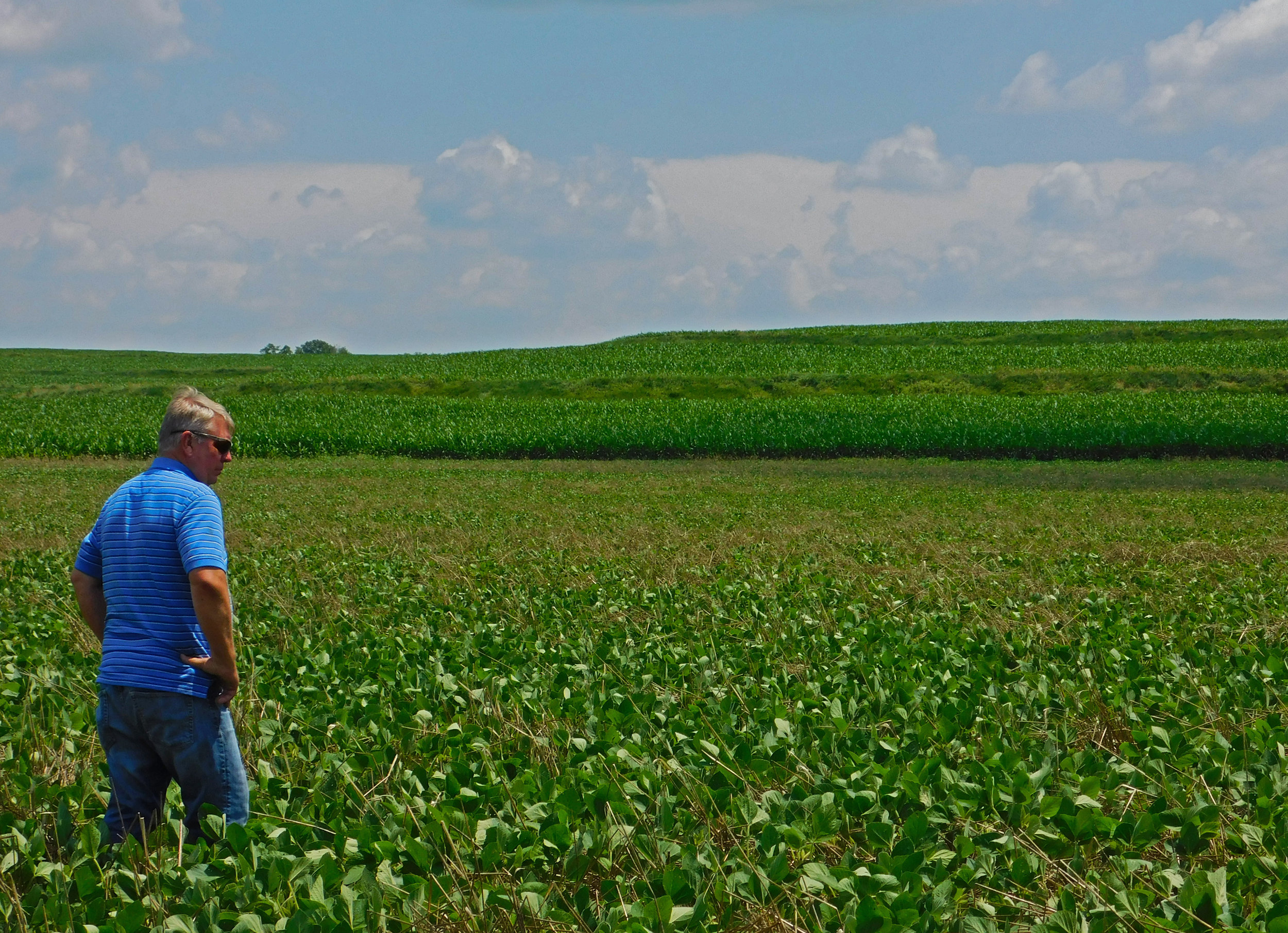   Johnson discusses his farming philosophy in his field near Red Oak, IA.  