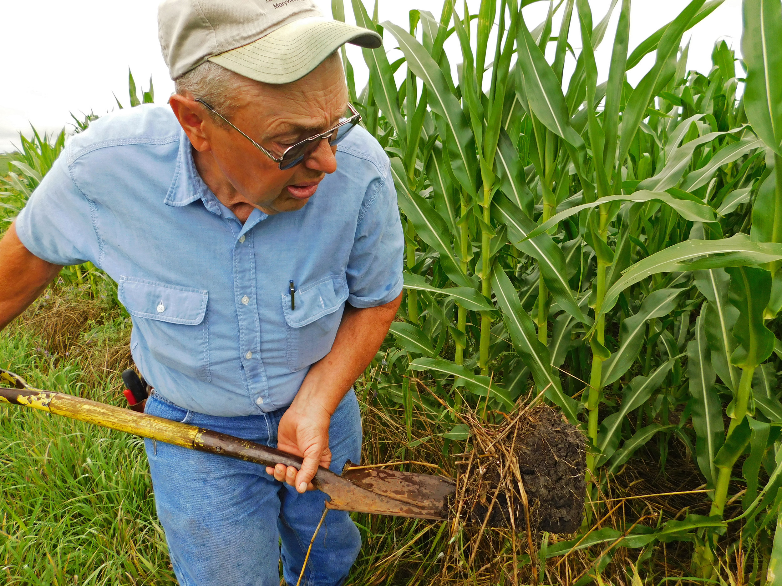 Paul Ackley, a Taylor County farmer, talks about cover crops and their impact on soil health.