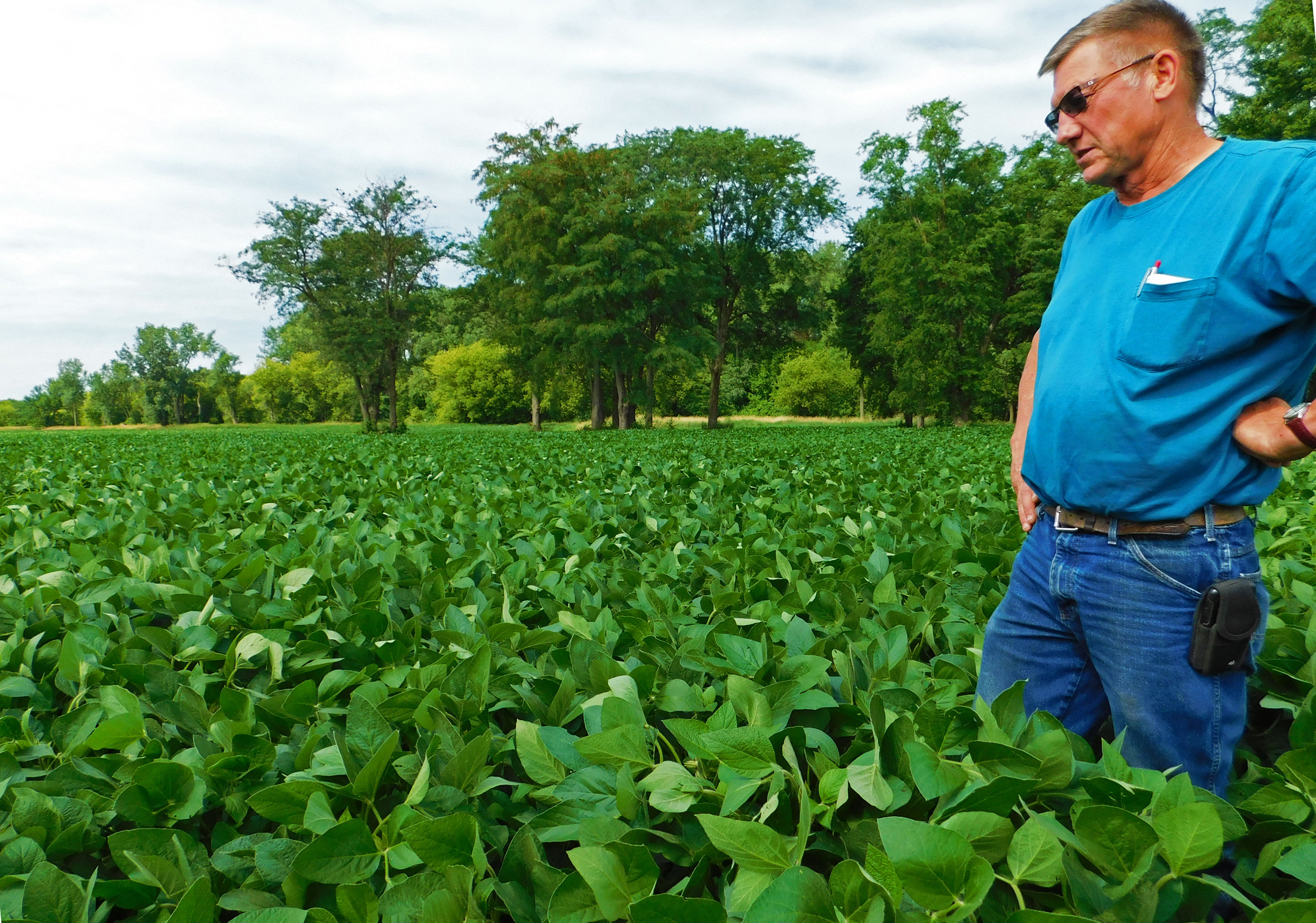 Black Hawk County farmer, Leonard Youngblut, talks about cover crops on his operation.