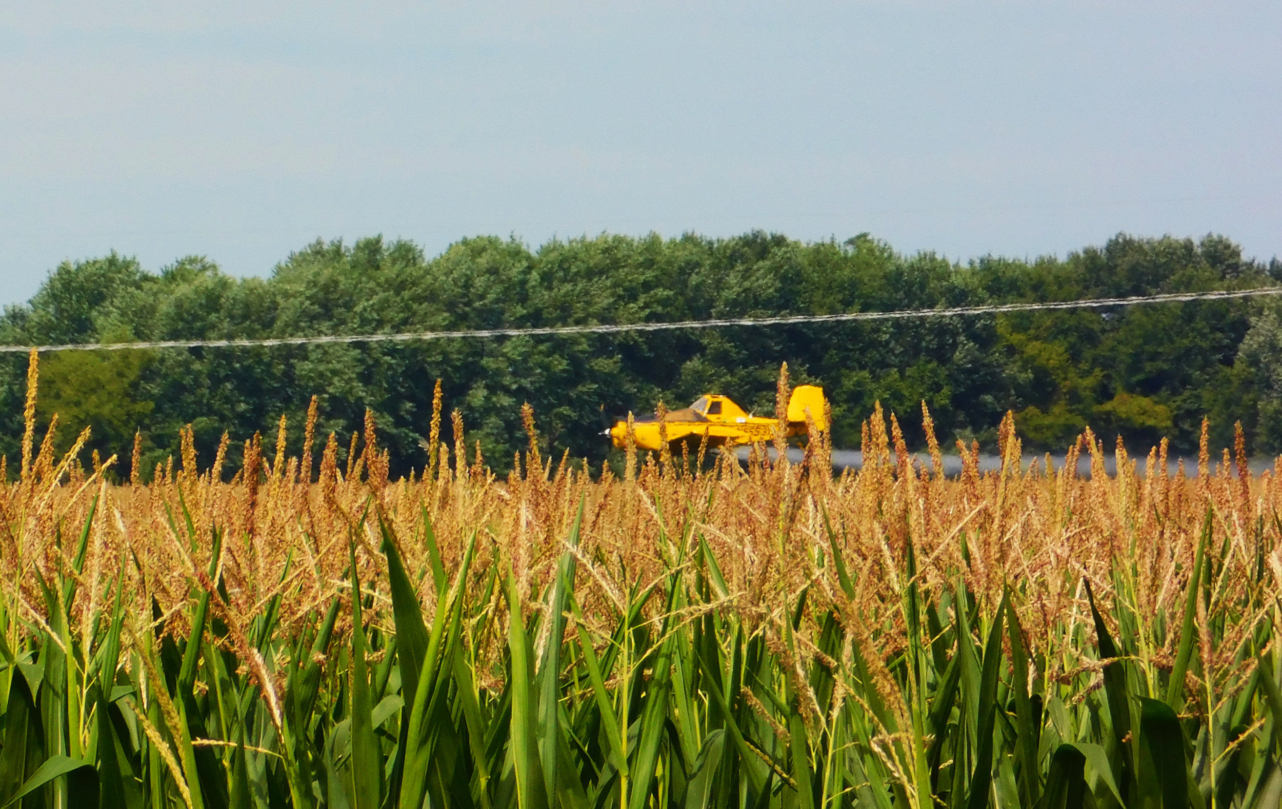 A crop duster sprays Youngblut's cornfield.