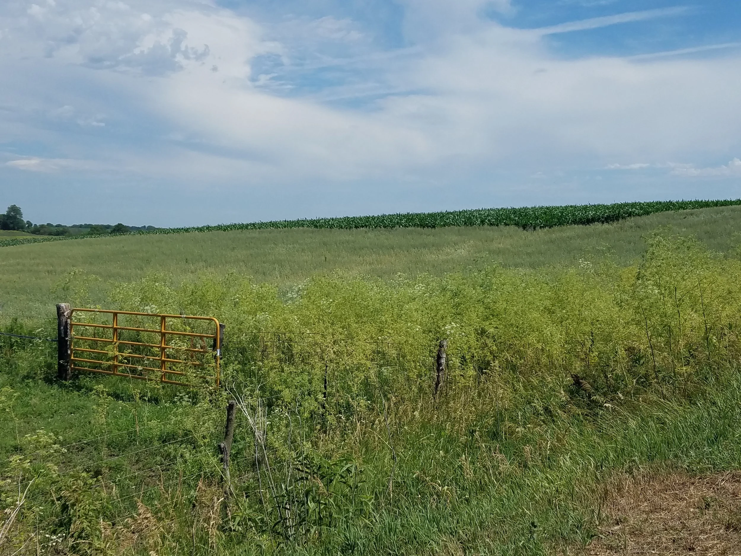 Not All Acres are Created Equal: Weller Farms - Taylor County