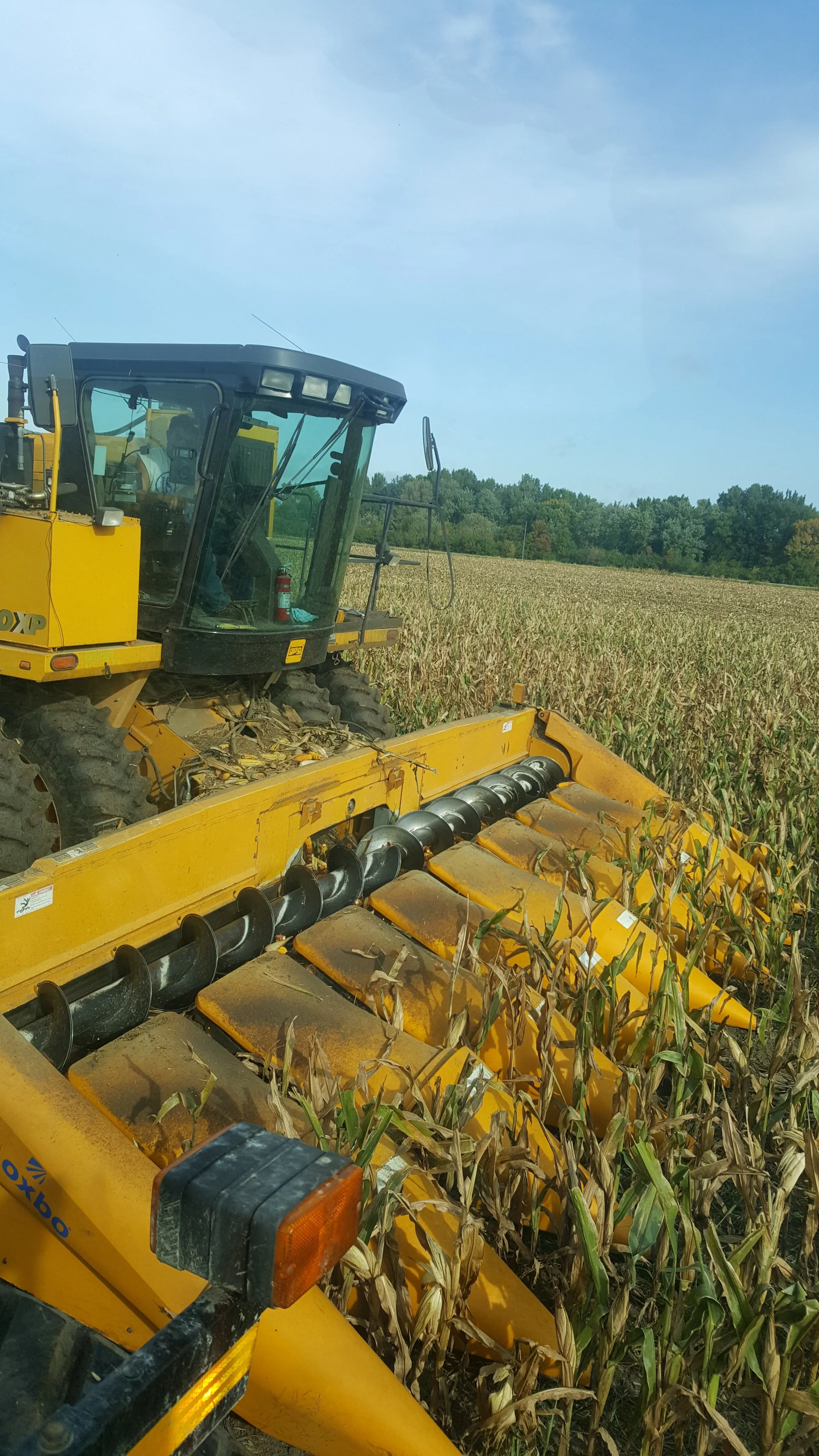 Father and Farmer, Paving the Way for His Family - Tama County