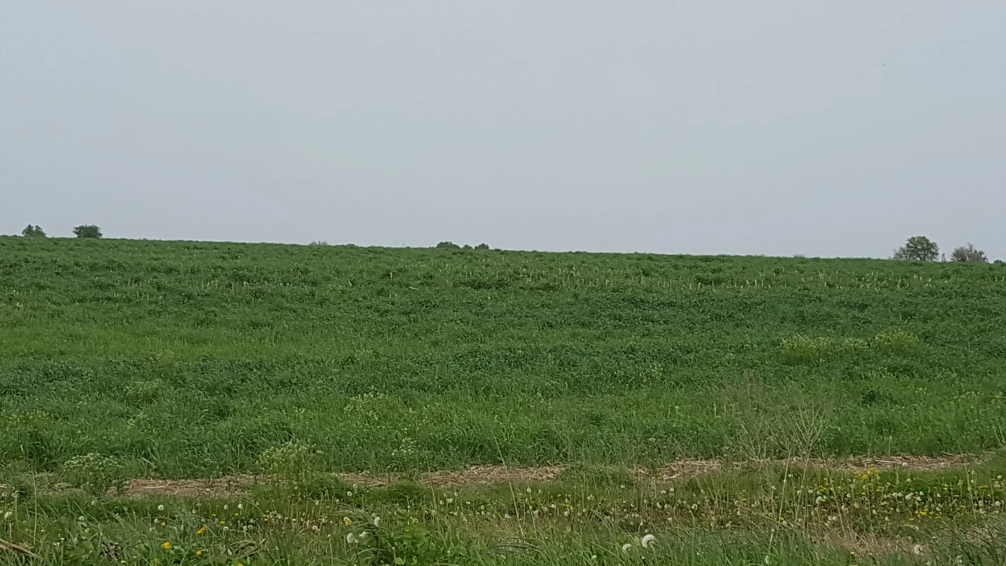 Kurt Bechert Discusses the Importance of Conservation in Their Farming Operation -  Wapello and Keokuk Counties 