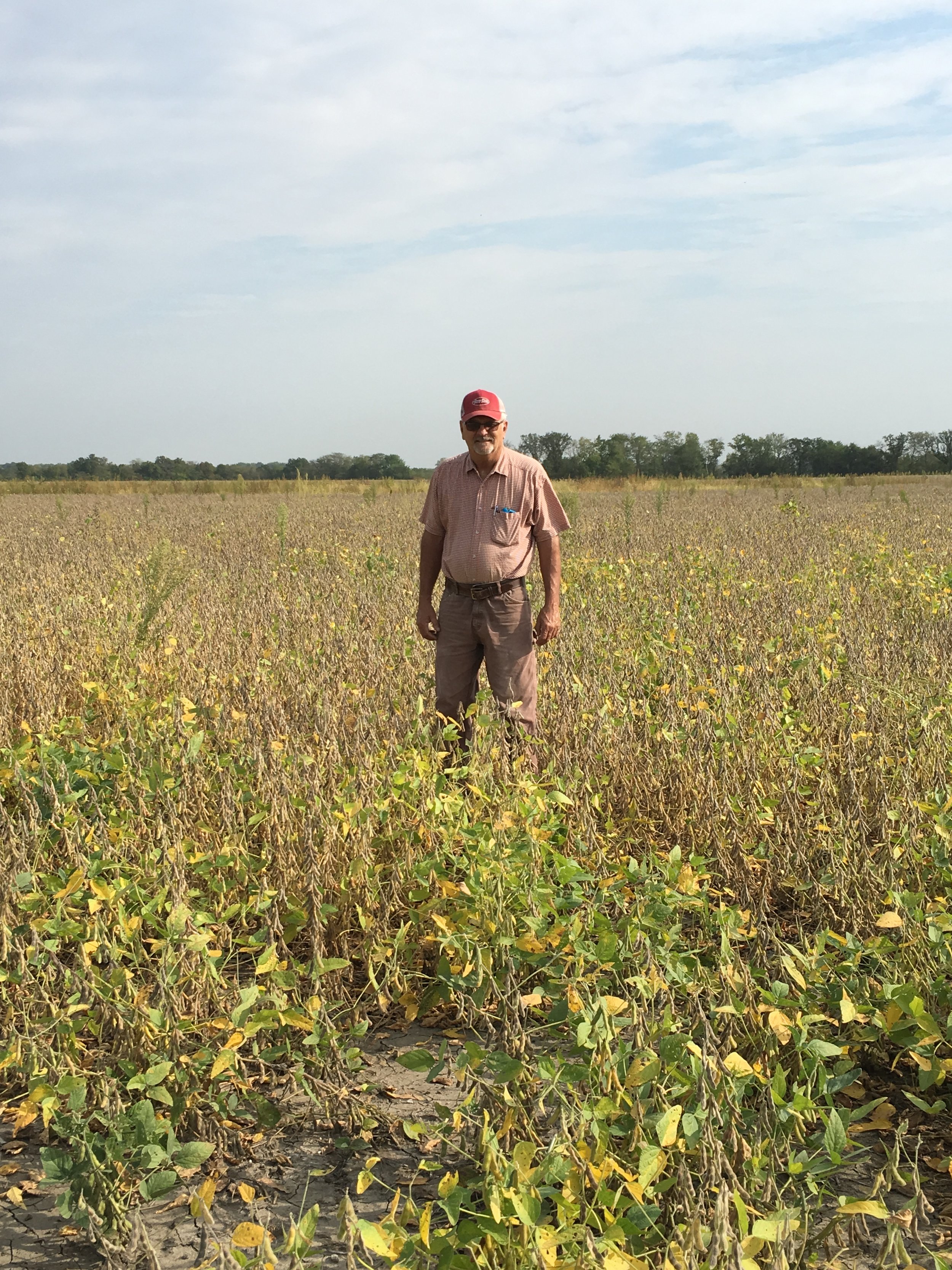 Southeast Iowa Farmer Protects Soil and Water with Diverse Conservation Approach: Clark Whitaker - Hillsboro