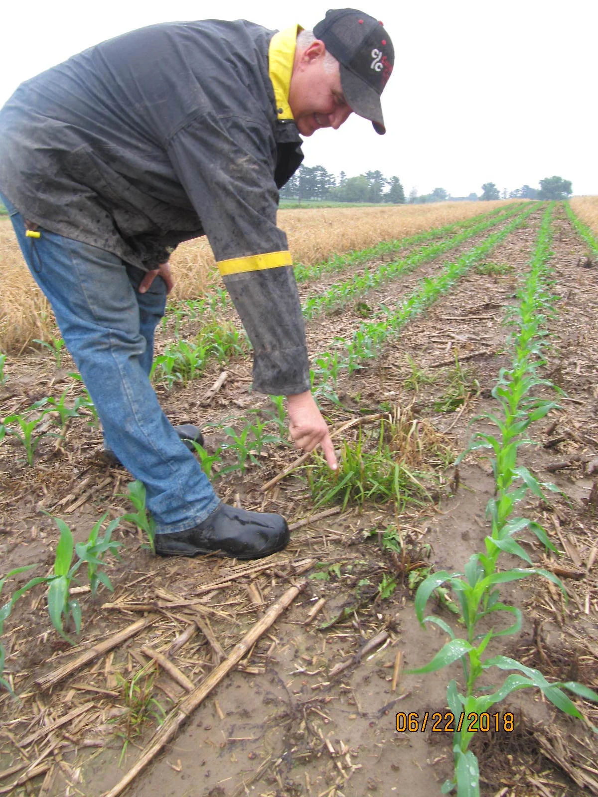 Cover Crop Seeding Mistake Leads to Great Learning Experience