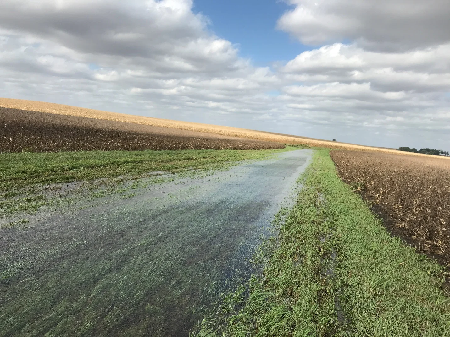 A Reminder from One Eastern Iowa Farmer: Don’t Forget Grassed Waterways