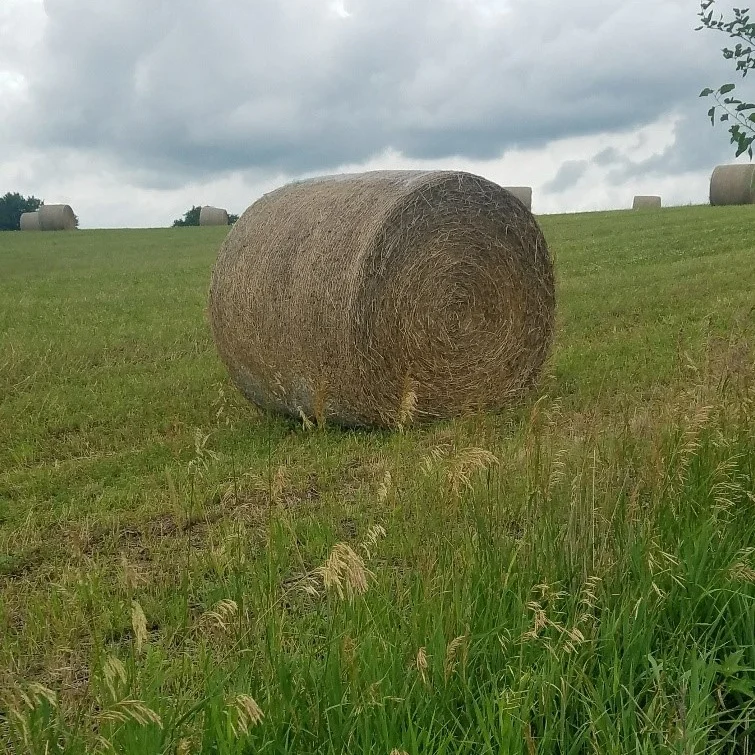 Seeding Sidehills Helps Farmers