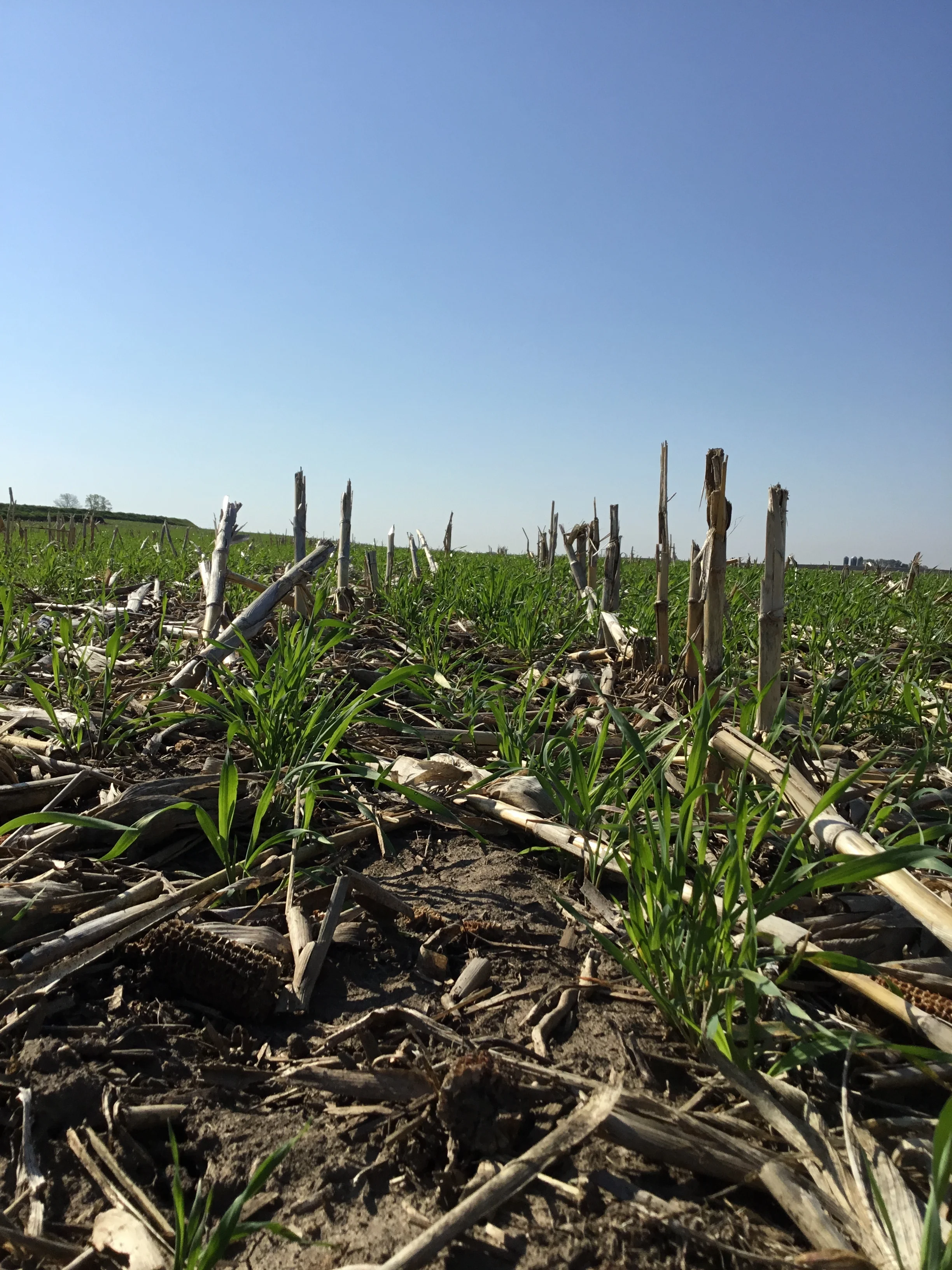 Improving Water Quality and Soil Health and Not Breaking the Bank