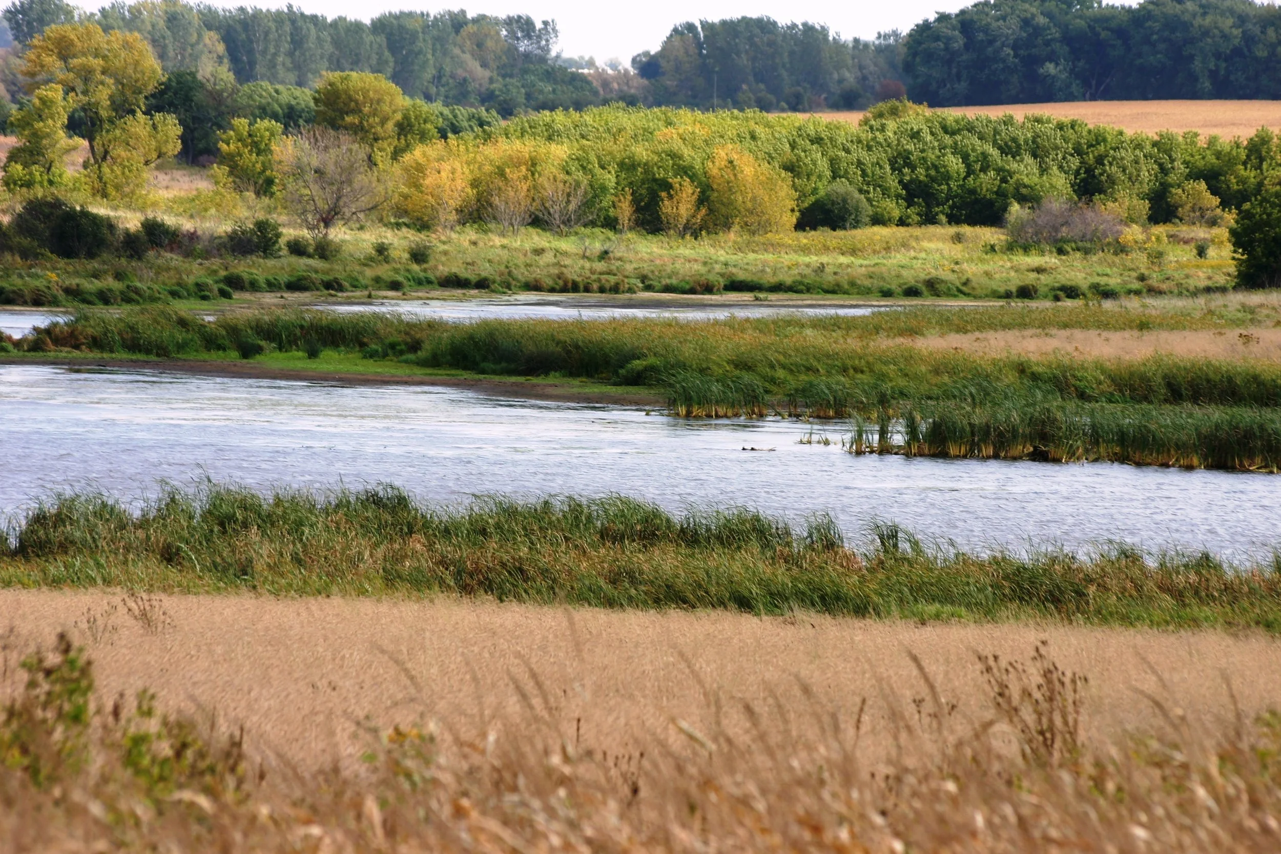 Secretary Naig Announces Cost Share Funding Available to Implement Water Quality Practices in Iowa
