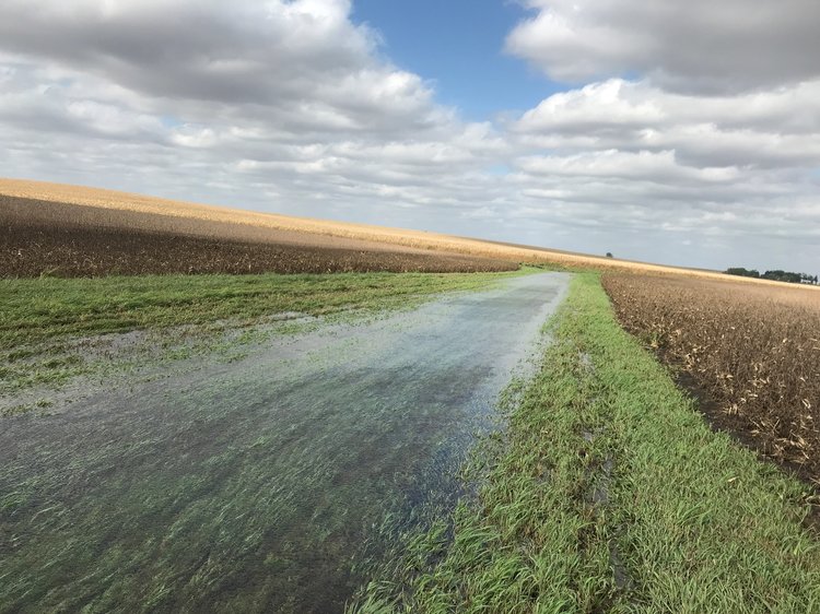Grassed+Waterway.jpg