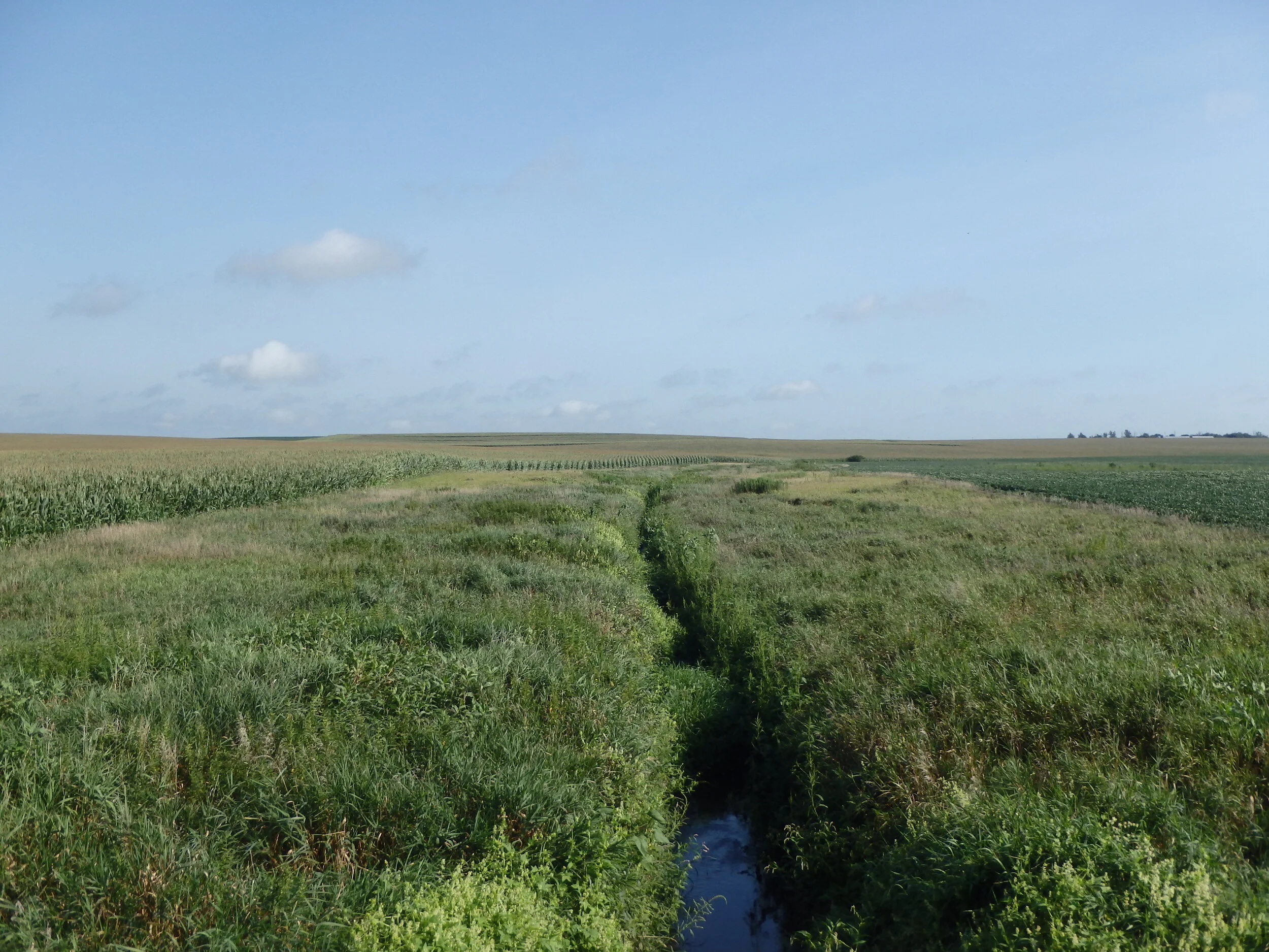 Groen Family Manages Risk with Conservation