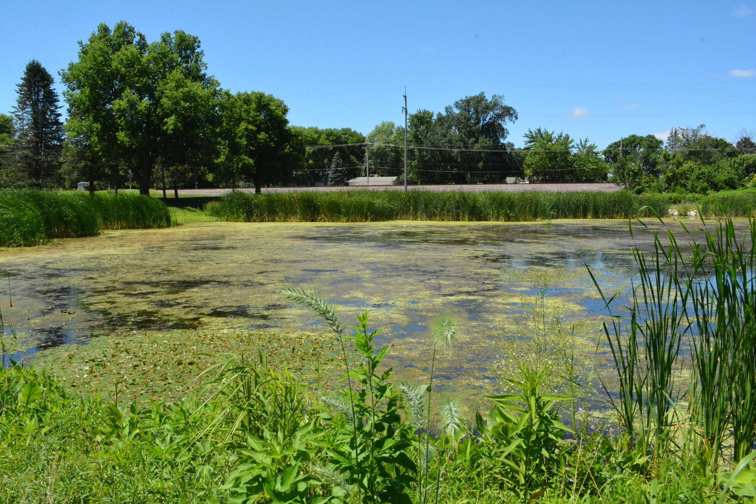 ster City Enhances Water Trail with Stormwater Wetland — Clean Water