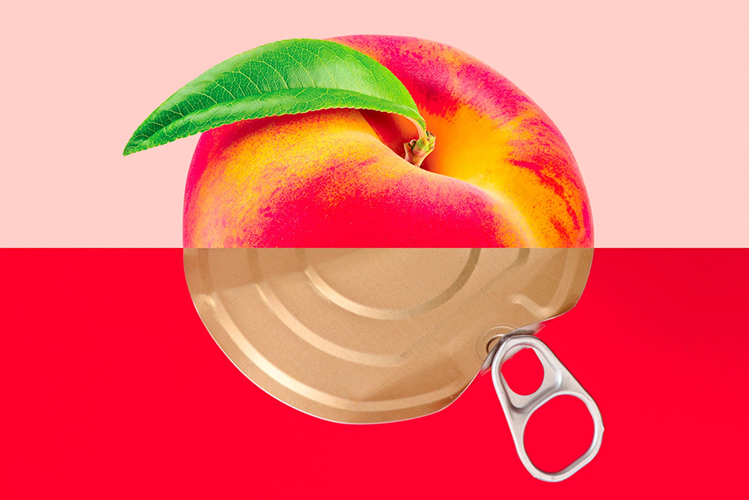 University of Toronto Press