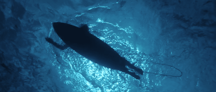 undefined-high (2).gif