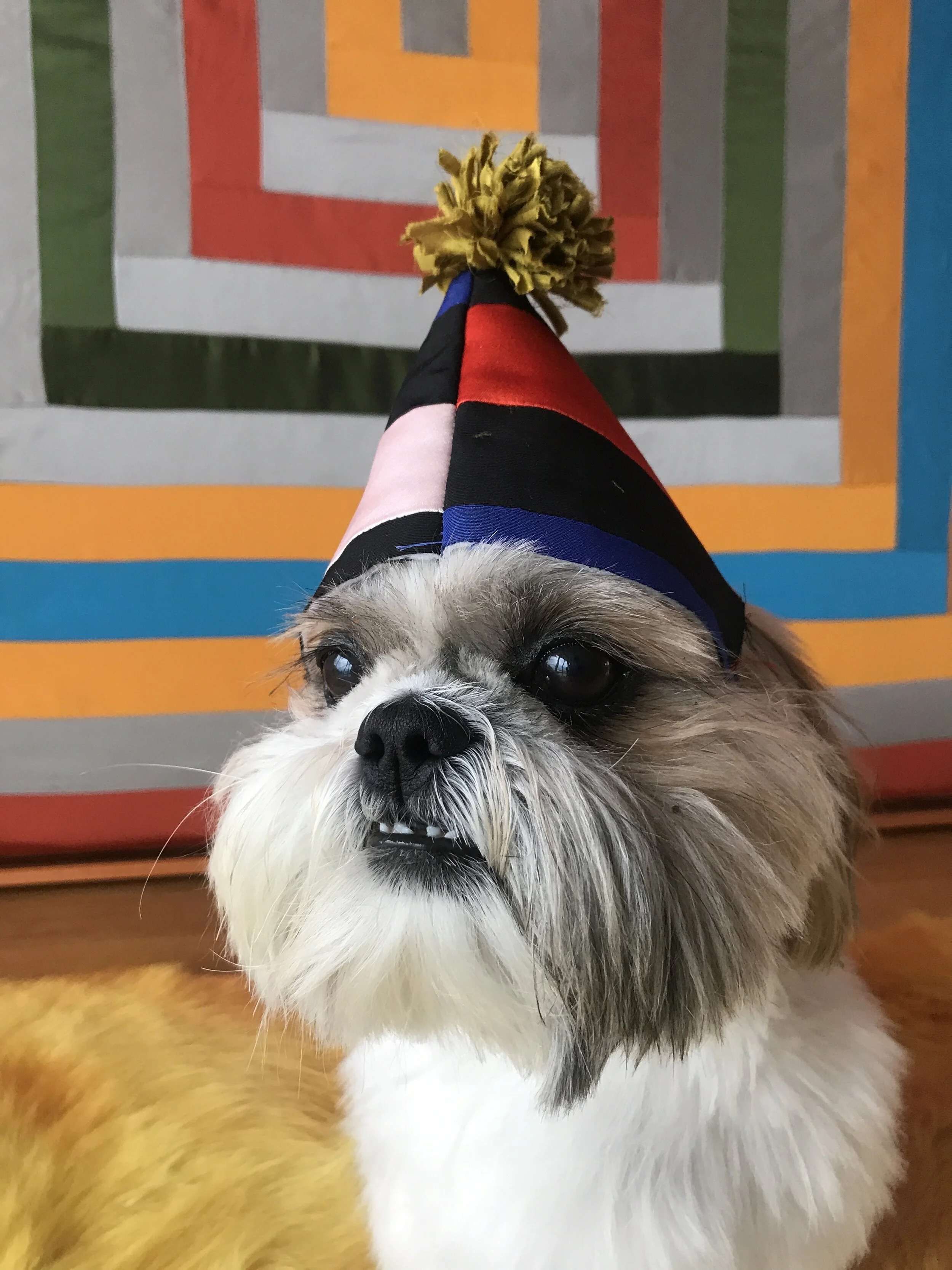 Doggie Celebration Hat.