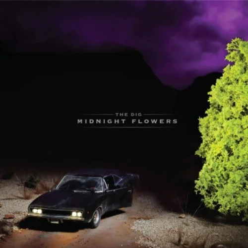 Pick Of The Week: The Dig "Midnight Flowers"