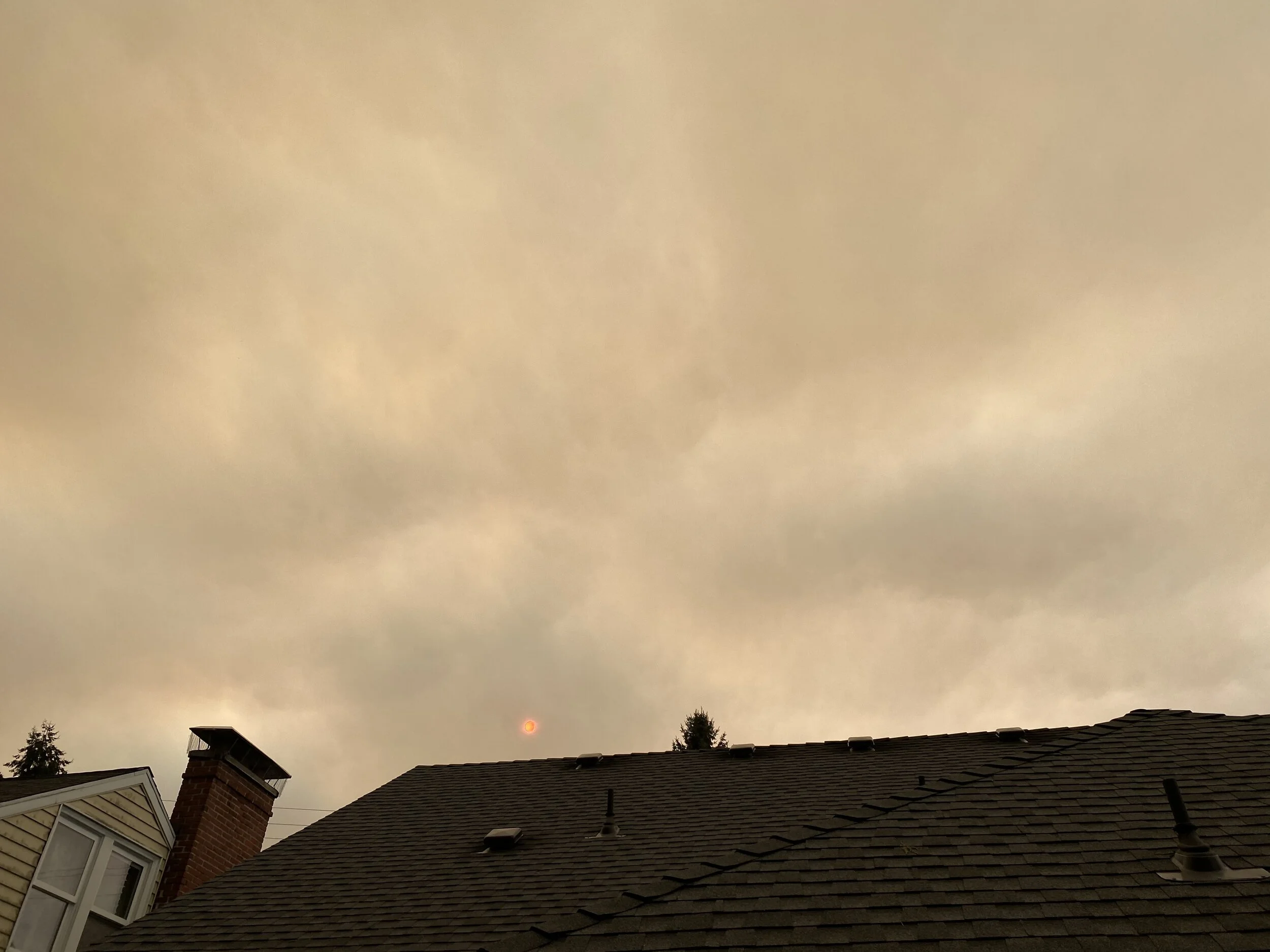 Settler-Colonialism and the Apocalypse