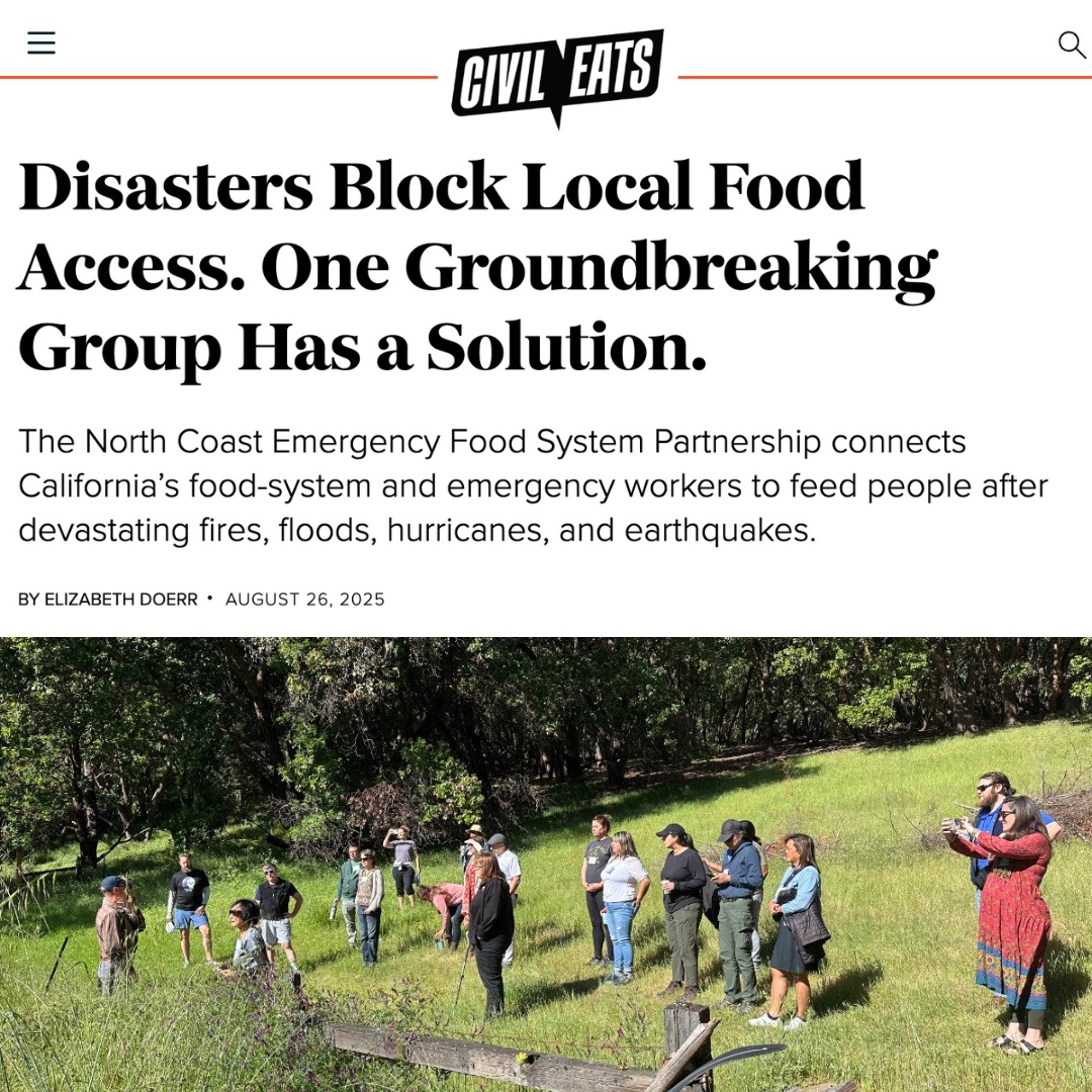 Disasters Block Local Food Access. One Groundbreaking Group Has a Solution.