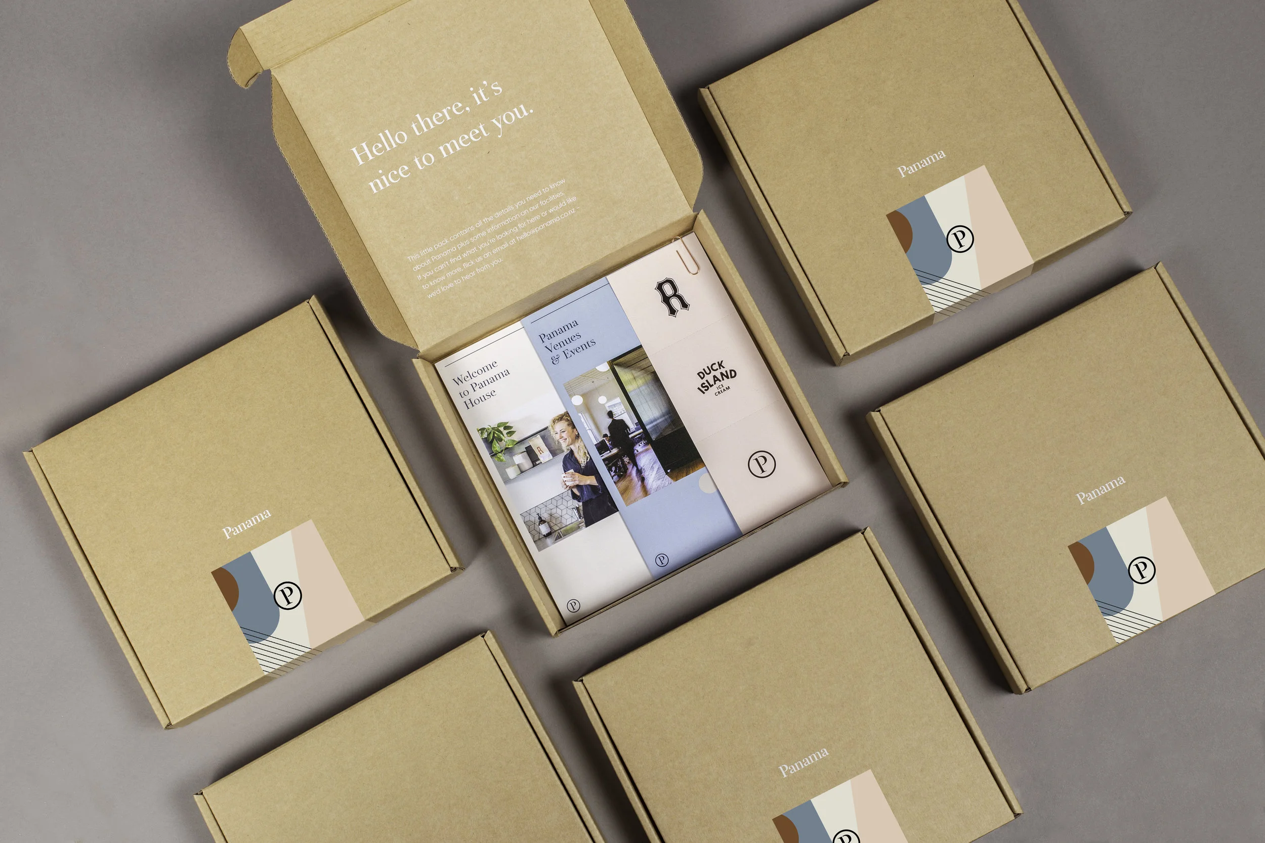 designwell-panama-branding5.jpg