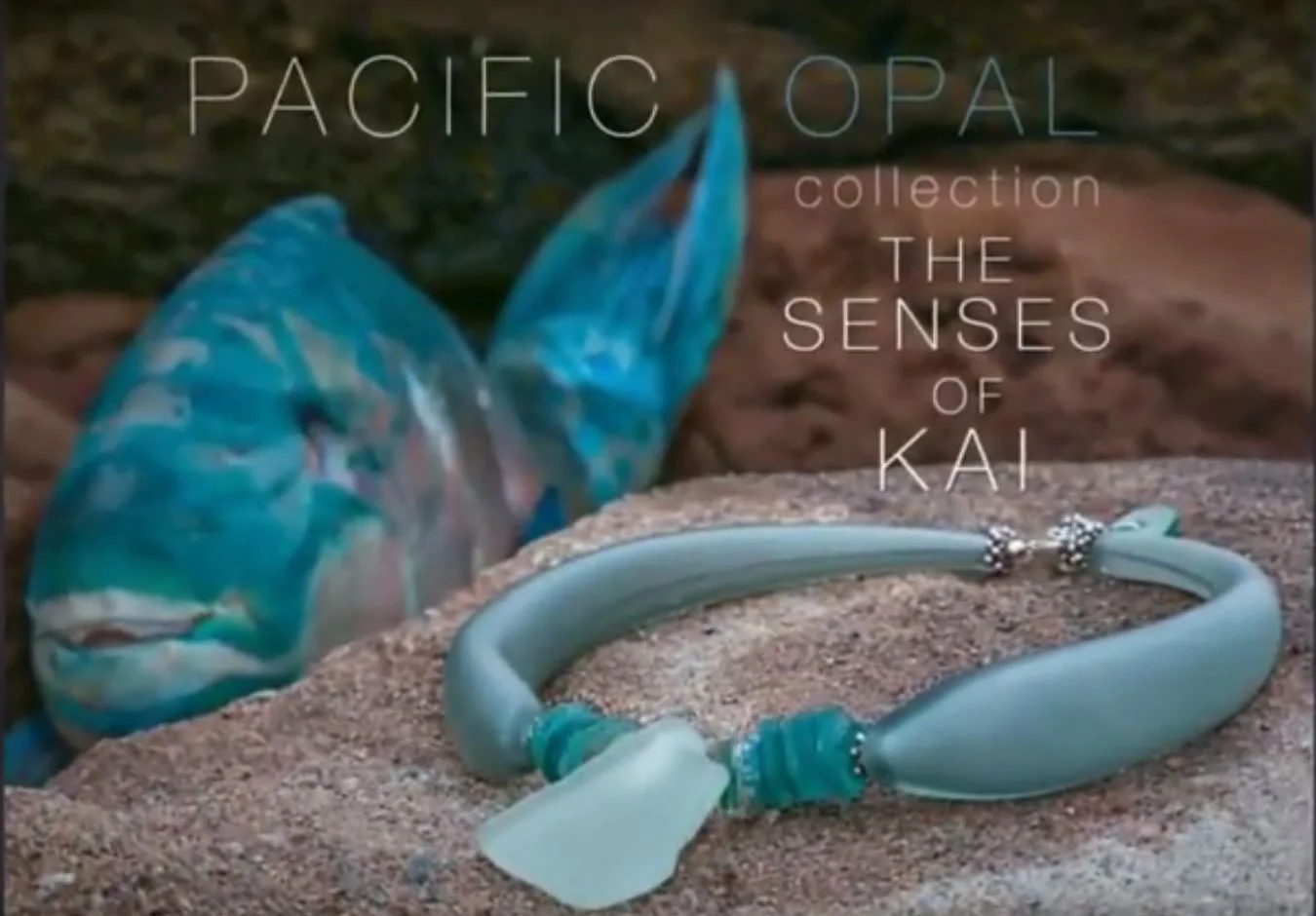 jjj po collection.JPG