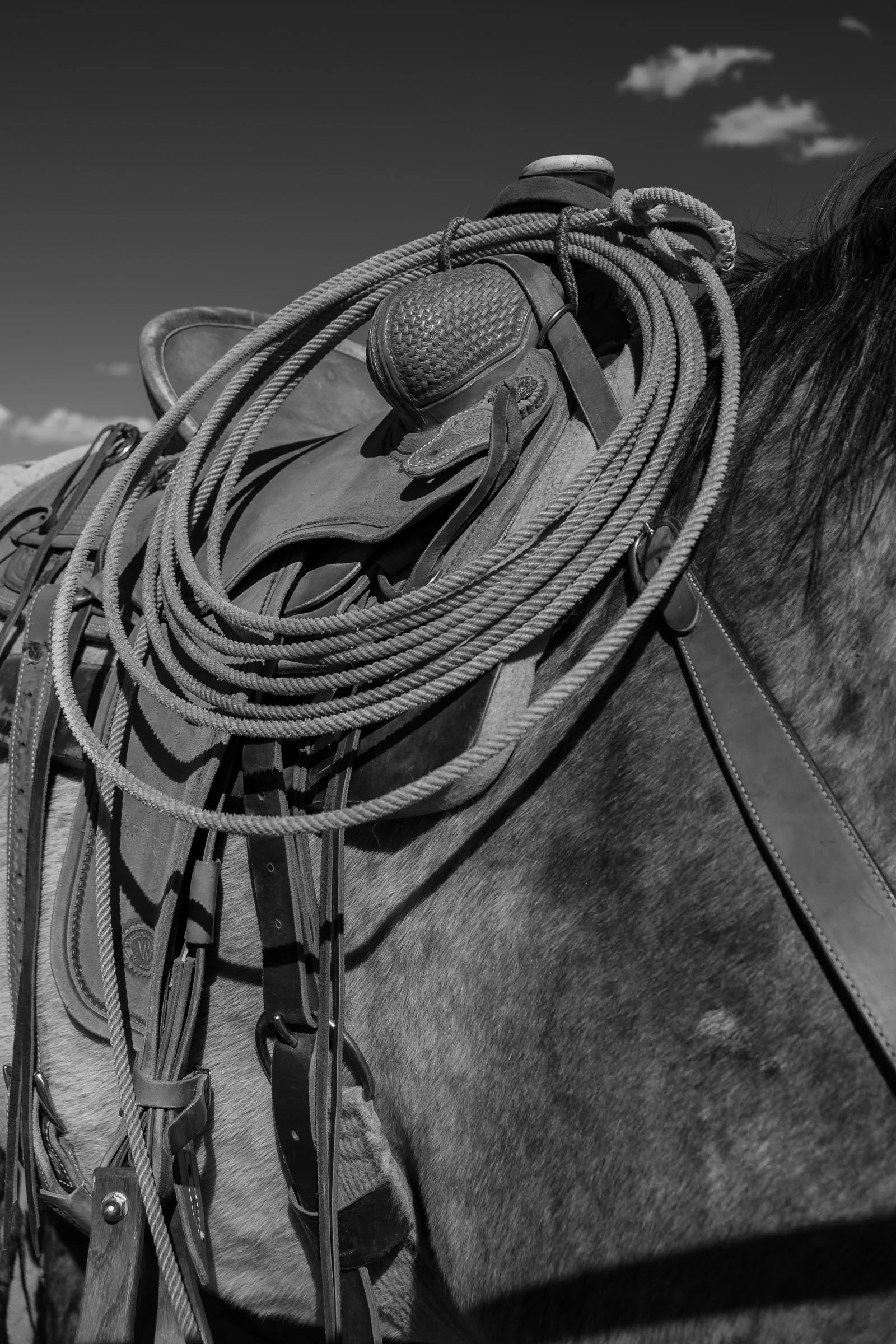 260322 Duskin Roping 7490.jpg