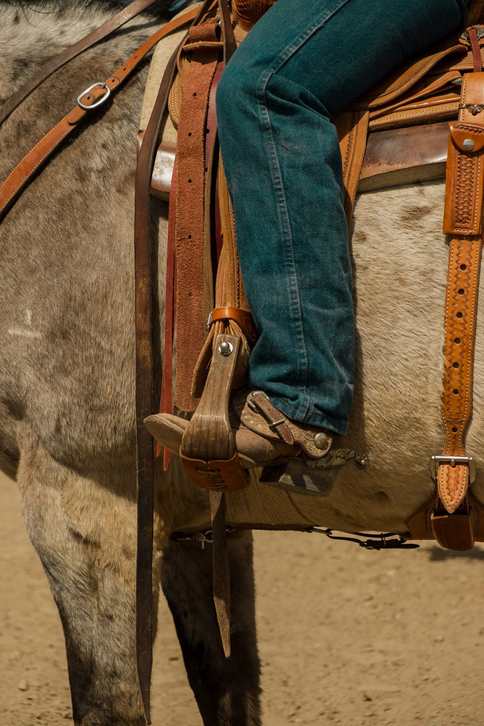 260322 Duskin Roping 7458.jpg