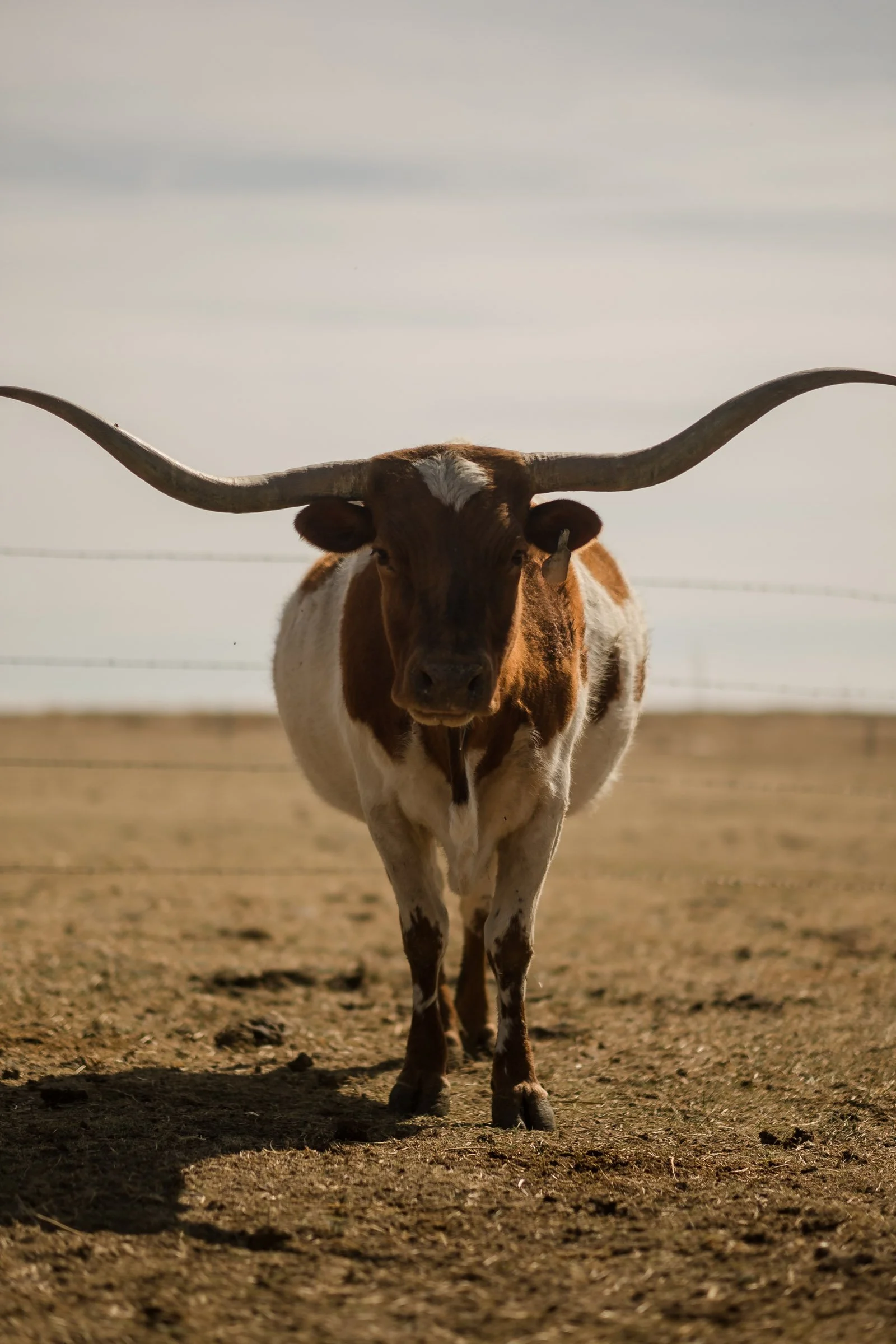 260322 Duskin Roping 7394.jpg