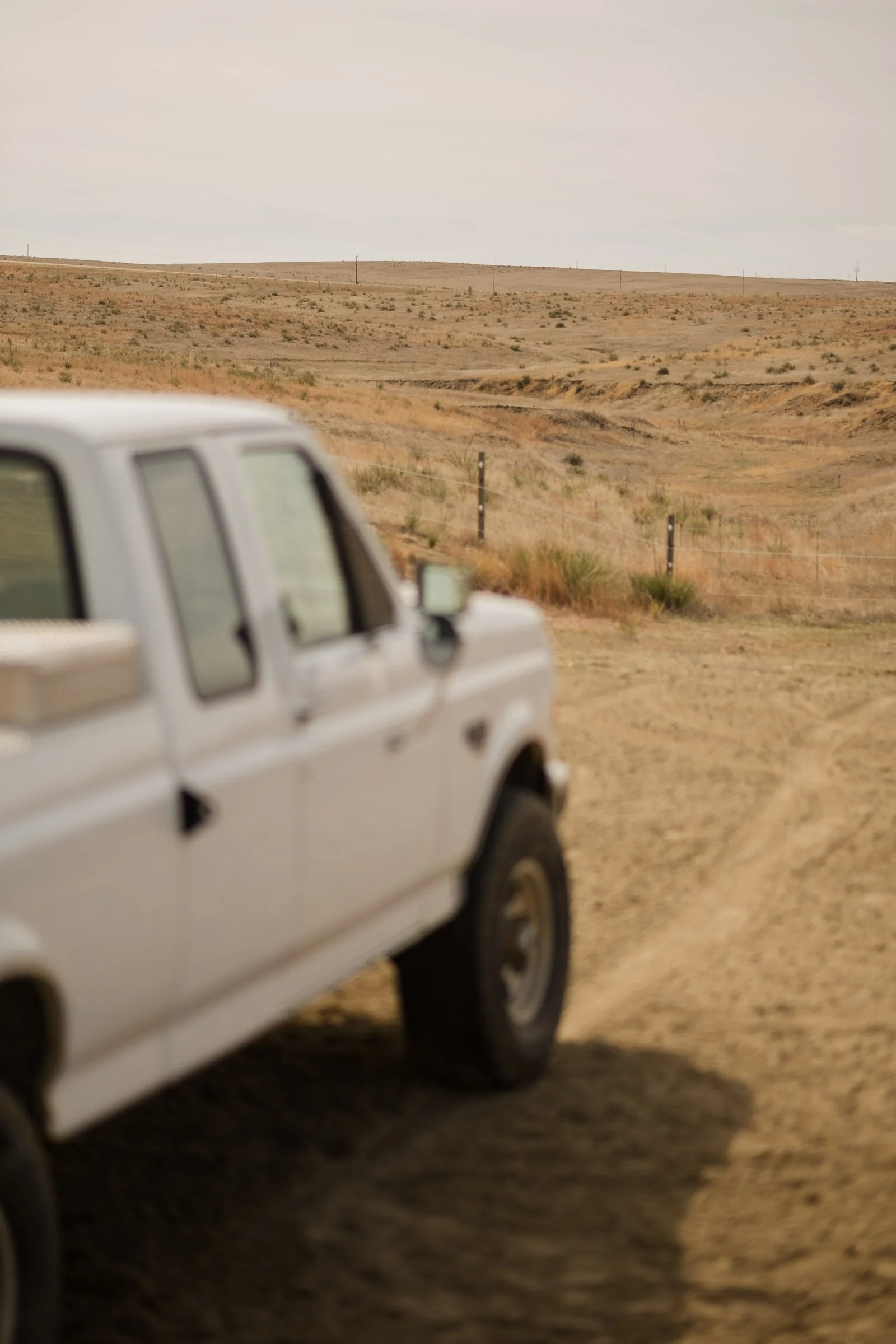 260322 Duskin Roping 6917.jpg