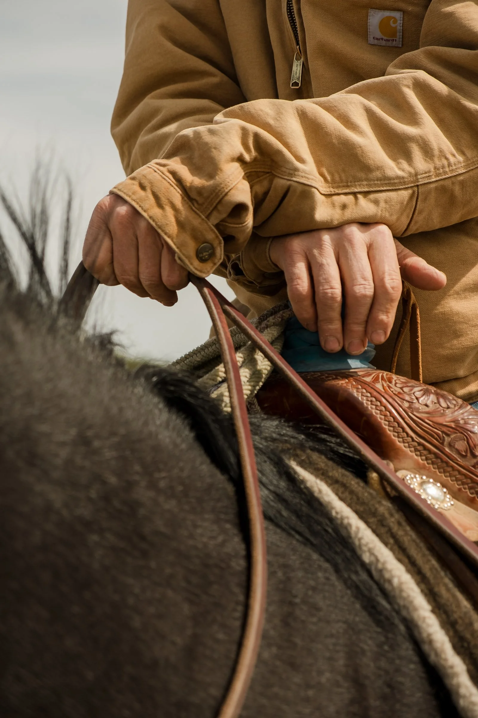 260322 Duskin Roping 6836.jpg