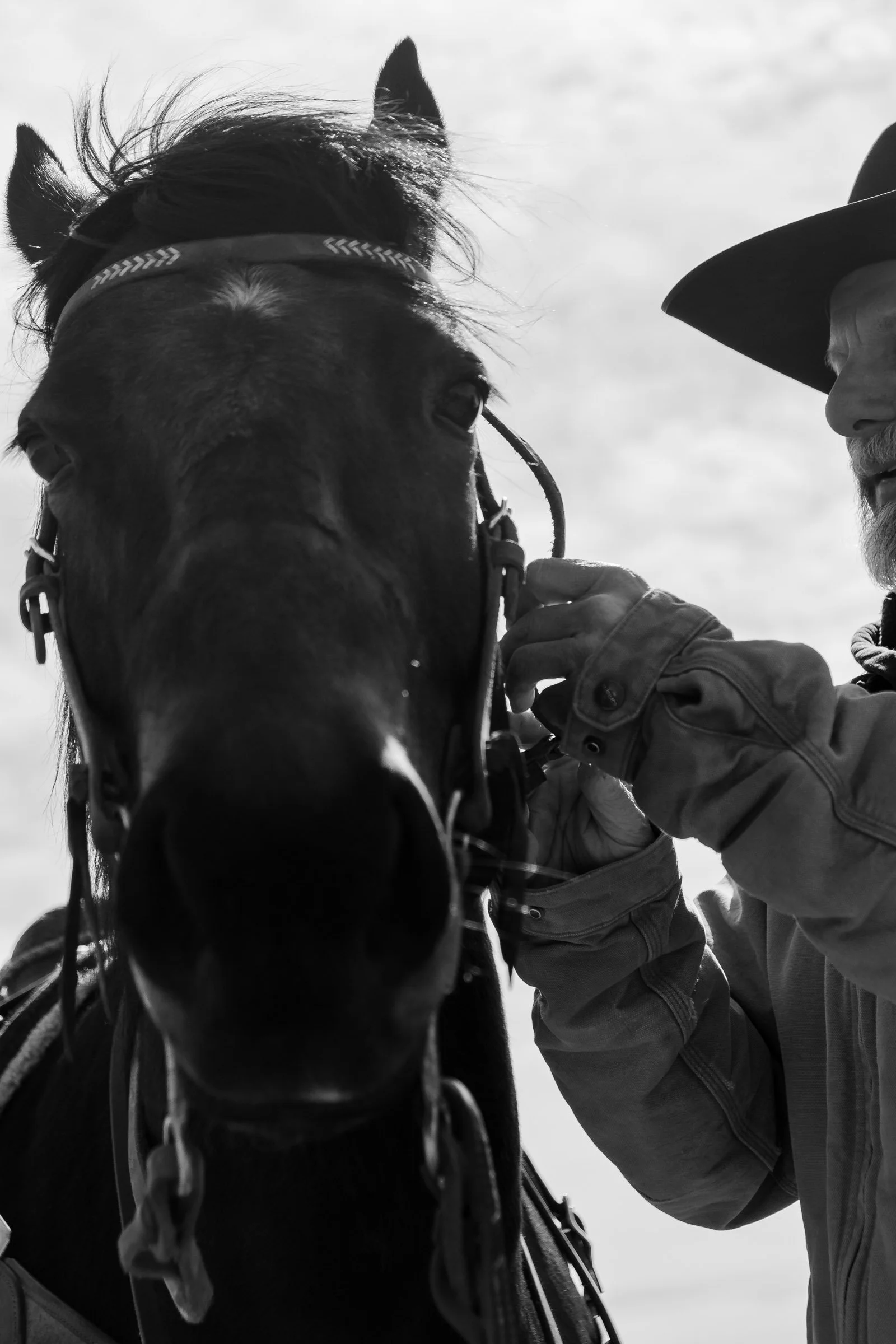 260322 Duskin Roping 6549.jpg